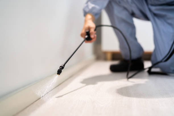 Licensed Cockroach Control service in Vale, OR - Nex Pest Control